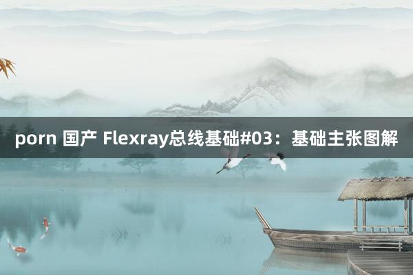 porn 国产 Flexray总线基础#03：基础主张图解