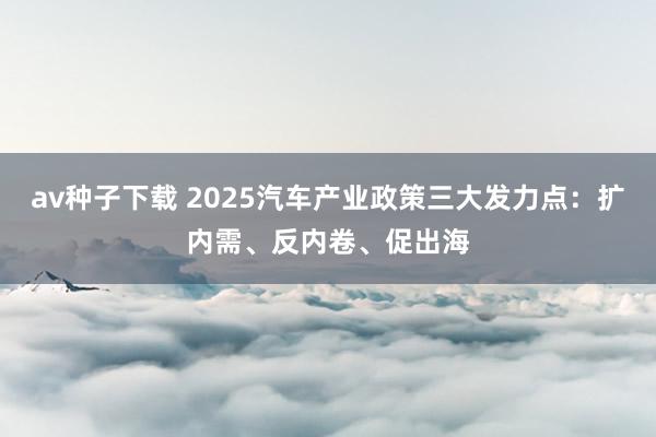 av种子下载 2025汽车产业政策三大发力点：扩内需、反内卷、促出海