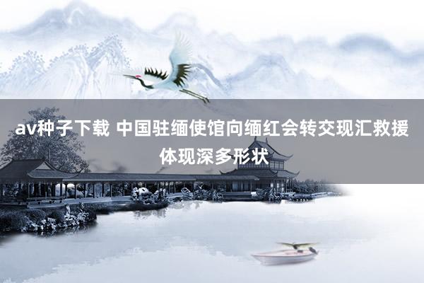 av种子下载 中国驻缅使馆向缅红会转交现汇救援 体现深多形状